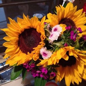 Meet your Posher, Cheryl